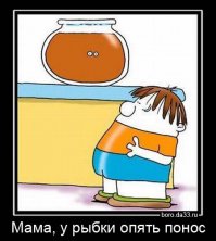 Кашалот «испачкал» дайверов