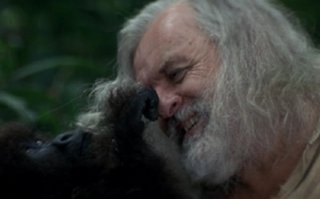 Инстинкт и Могучий Джо Янг