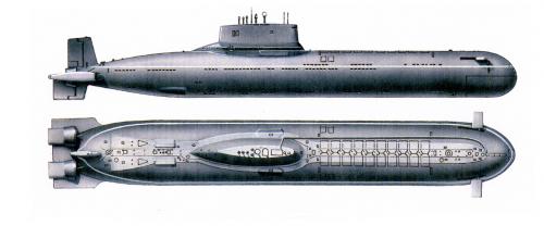 Тяжёлые ракетные подводные крейсеры стратегического назначения проекта 941 «Акула» (SSBN «Typhoon» по классификации НАТО) — самые большие в мире атомные подводные лодки. Основное вооружение — ракетный комплекс Д-19 с 20-ю трёхступенчатыми твердотопливными баллистическими ракетами Р-39 «Вариант». Эти ракеты обладают наибольшей стартовой массой (вместе с пусковым контейнером — 90 т) и длиной (17,1 м) из принятых на вооружение БРПЛ. Боевая дальность ракет — 8300 км, боевая часть — разделяющаяся: 10 боеголовок с индивидуальным наведением по 100 килотонн в тротиловом эквиваленте каждая. Из-за больших габаритов Р-39 лодки проекта «Акула» были единственными носителями этих ракет. Водоизмещение надводное - 23 200 т, Водоизмещение подводное - 48 000 т, Длина наибольшая - 172,8 м, Ширина корпуса наиб. - 23,3 м. Интересные факты - 6 АПЛ проекта «Акула» занесены в Книгу Гиннесса как самые большие подводные корабли в мире, Водоизмещение АПЛ проекта «Акула» больше, чем водоизмещение тяжёлого авианесущего крейсера «Адмирал Горшков»