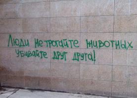 Подборка видео от 26.05.2014