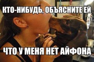 Смешные картинки с подписями