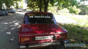  Картинки со смешными подписями