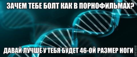  Картинки со смешными подписями