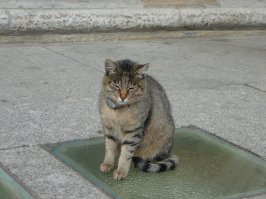 и от меня тоже :)