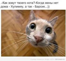 Загадки русских собачьих кличек