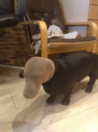 Это ограбление!! Всем оставаться на своих местах!!