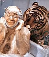 Кошачьи селфи