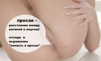 Увеличиваем словарный запас