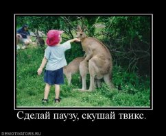 50 сладких парочек