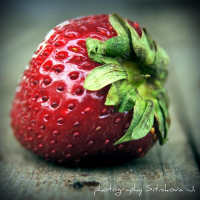 Фотоподборка за 30.09.2014