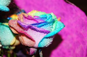 Моя фотография