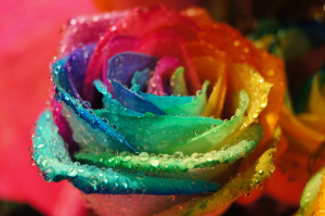 Фотоподборка за 30.09.2014