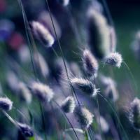 ох милота!!!!!!!!!!!!!!!!!!!!