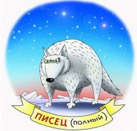 7 красивейших видов лисиц