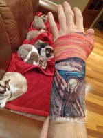 Я помню этот гипс! Там было два котана! А их оказывается стая!