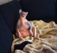 Позитивная фотоподборка