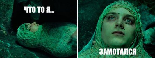 «Волосы ангела»: пауки окутали здания и поля одеялами из паутины