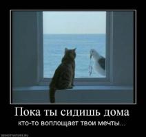 Демотиваторы