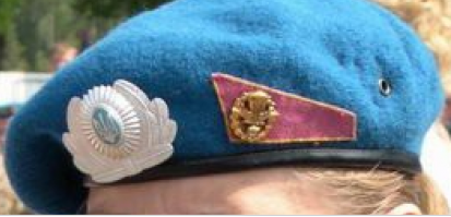 За патриотическое название поста +, у девушки в форме ВДВ "капуста" на берете с трезубцем :)