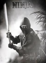 Легендарный ниндзя Шо Косуги: интересные факты из жизни