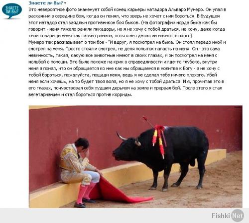 Немного гугла и находим::
---
Это фото не то, чем кажется.
Это фото давно ходит по интернету. В описании говорится, что человек на фотографии- Альваро Мунера, активист в борьбе за права животных, в молодости бывший novillero, "начинающим тореро", выступавший в Колумбии, а потом и в Испании. Это-ложь. Это не может быть правдой даже в теории.
Во-первых на самом деле Мунера выглядел по-другому (смотрим вторую картинку). Как вы видите, это два абсолютно разных человека. Так же стоит заметить, что фото слишком новое. Цвета и зернистость характерны для 90-х годов, в то время как Мунера закончил свою карьеру в 1984. Что более важно, Мунера перестал сражаться с быками не по своему желанию. Быки заставили его сделать это.В 1984 бык по кличке Terciopelo, породы Marqués de Villagodio, зацепил его за ногу и перебросил через ринг, повредив ему пятый шейный позвонок. Наряду с остальными полученными травмами, это сделало его инвалидом, страдающим параличом нижних конечностей.И только после того, как он был перевезен из испанской больницы в Майами, поближе к своим родственникам в Колумбии, он задумался о моральной стороне корриды. По его словам, врачи, медсестры, пациенты и их семьи относились к нему с презрением из за того, что его прошлое сделало его таким. По его собственным словам, он стал придерживаться такой точки зрения потому, что "Их больше, они, должно быть, правы..."Что бы вы не думали о причине смены его мировоззрения, бык тут абсолютно не при чем. Поведение быка во время борьбы не заставляло его прервать цепочку из 150 убитых быков по своей воле.