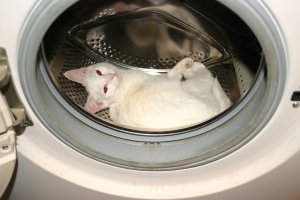 А я думал тут надо спать!