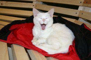 И еще по поводу поспать =  >