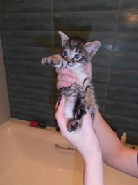 Еще немного для мимиметра.