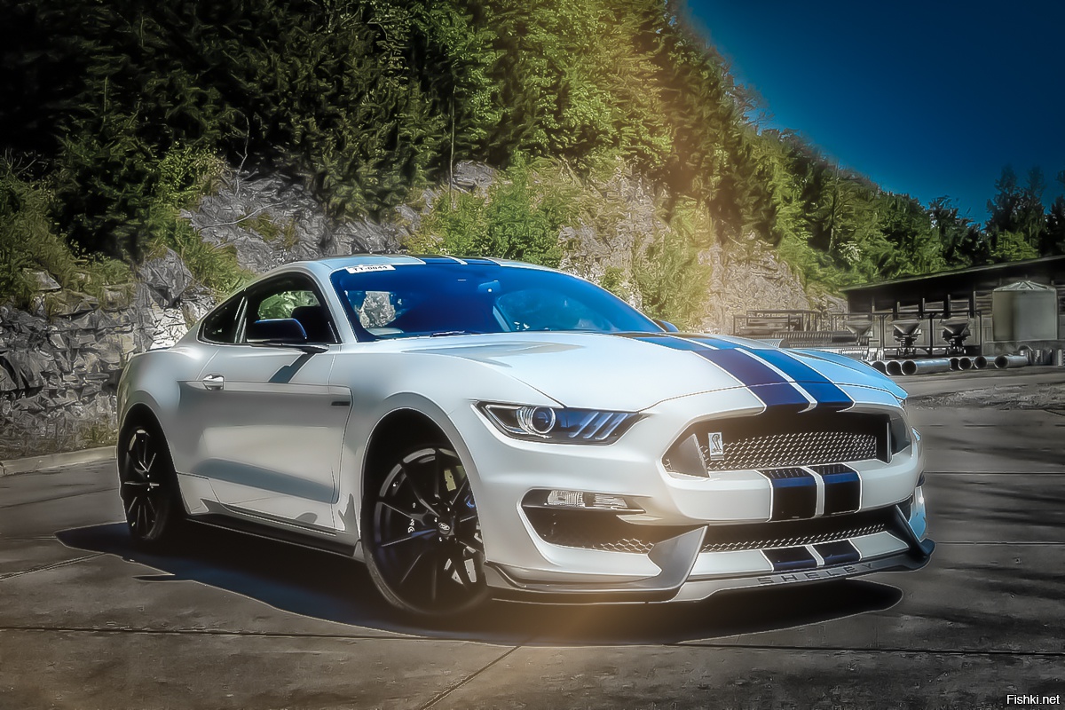 РќРѕРІС‹Р№ Ford Mustang Shelby gt500