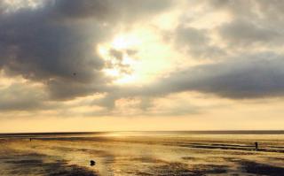 Маркс смотрин на конец капитализма