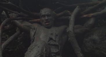 Маскировка животных