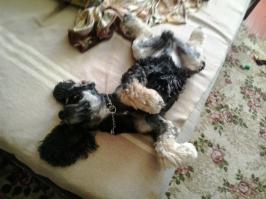 мой тоже думает,что секси