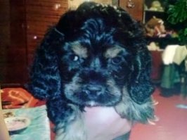 вот такой был-такой стал));)