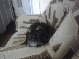 А я всё вижу