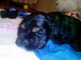 а мой был таким