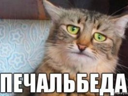  Как же её не ломает от такого веса?