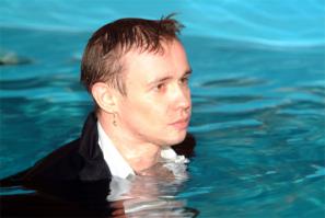 Дельфины и акулы