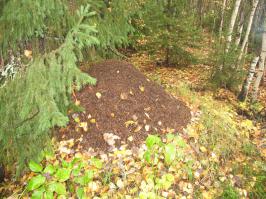 Многоэтажные дома