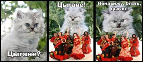 Как проходит цыганская свадьба