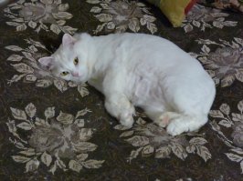 То же уставшая.