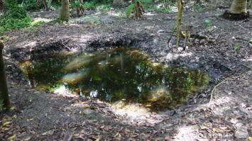 продам озеро,самовывоз,тел.895*******