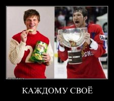 Бизнес российских звезд