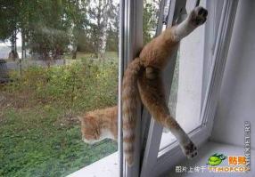 Боян, но в тему :)