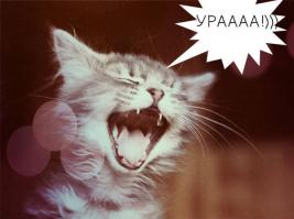 Обновления на сайте!