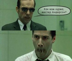 Смешные комментарии из социальных сетей 24.01.15