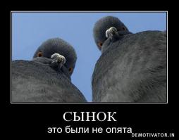 По грибочки...