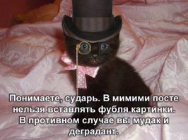 О морском круизе: жизнь и отдых на борту.Часть 2