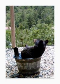 Не   растерялась