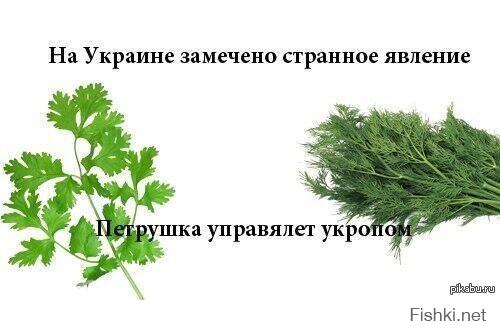 Зачот! Мущина! Уел, УЕЛ как бог...
А укропчики в укропии - женщин и детей убивать )))
кстати, а пащиму - если паРашка у нас, парашенко - ваш презик? Или у вас - все путём в укропии?
Если Россия - спившаяся мать, то украина - ее слабоумный ребенок )))