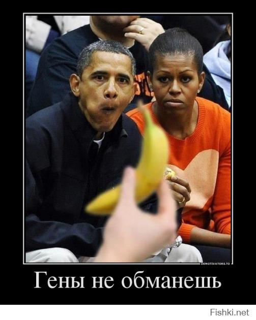 И Укропов с Наступающим!!!
Обамососы тоже имеют право на Праздник!